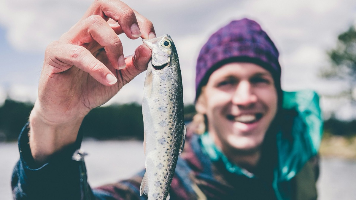 5 Fish You Can Bring Home For Dinner At Your Local Lake