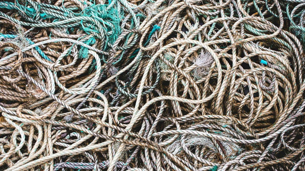 5 Strategies To Nail Down Before Your First Fishing Trip